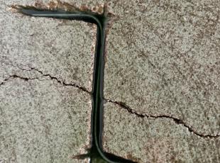 Cantiere-Istituto-San-Francesco-centro-di-Riabilitazione-di-Vasto-Marina-09